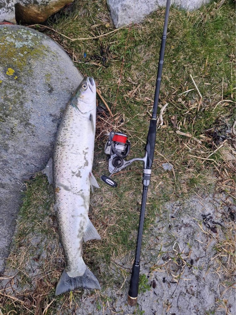 Fiske i Morkadalen